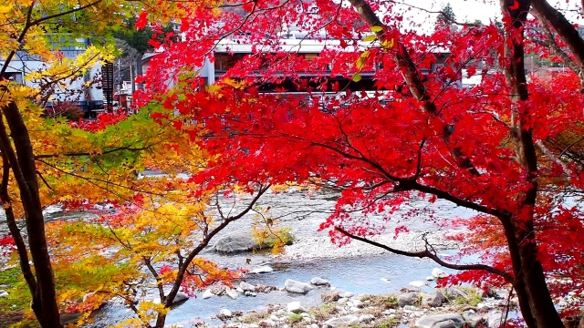 那須の紅葉